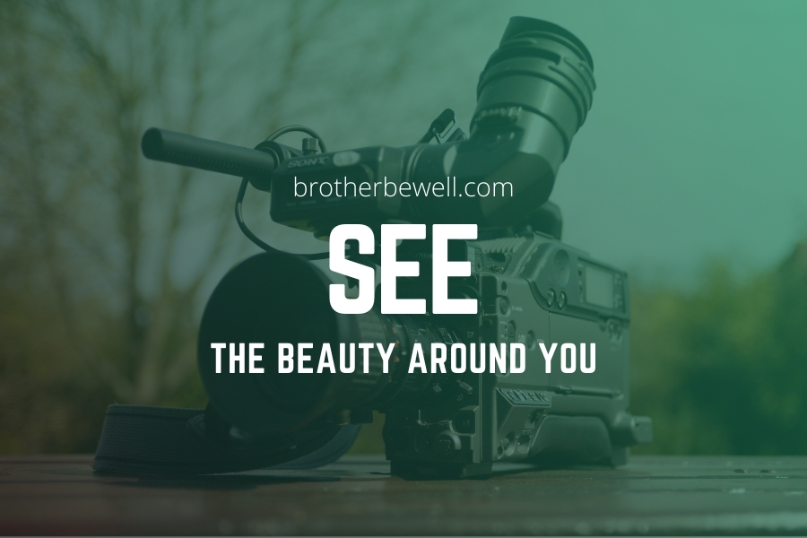 See the Beauty Around You