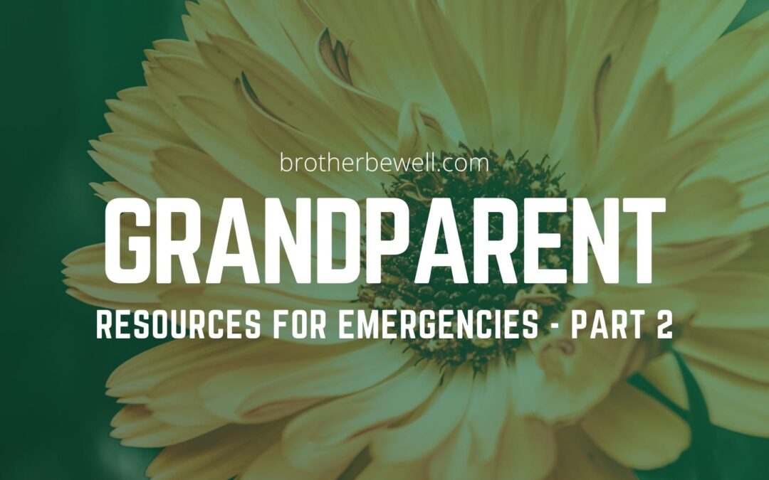 Resources for Grandparents Managing Family Emergencies – Part 2
