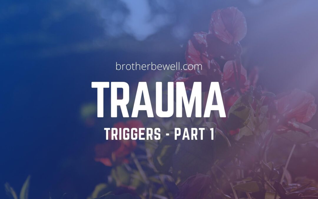Trauma Triggers – Part 1