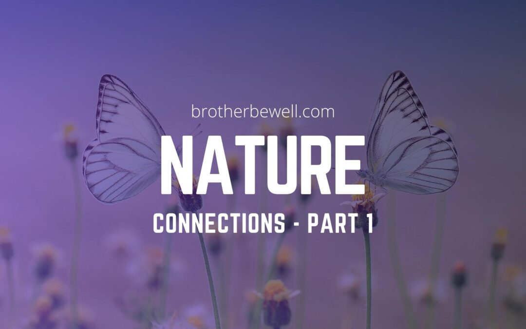 Nature Connections – Part 1