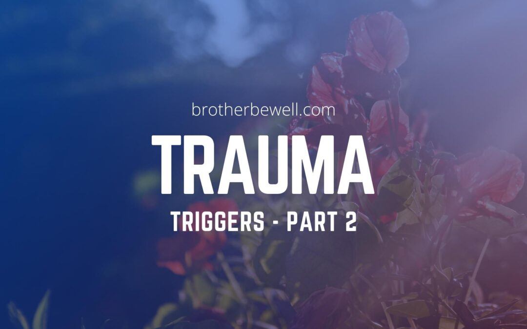 Trauma Triggers – Part 2