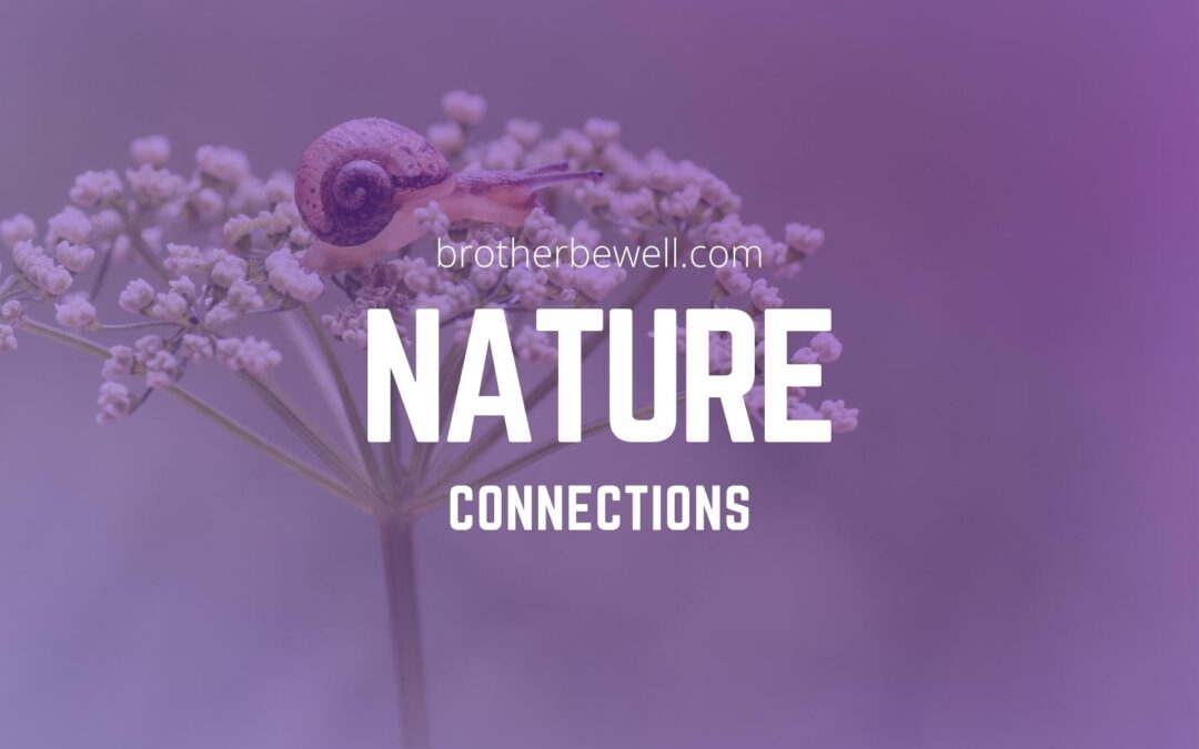 Nature Connections