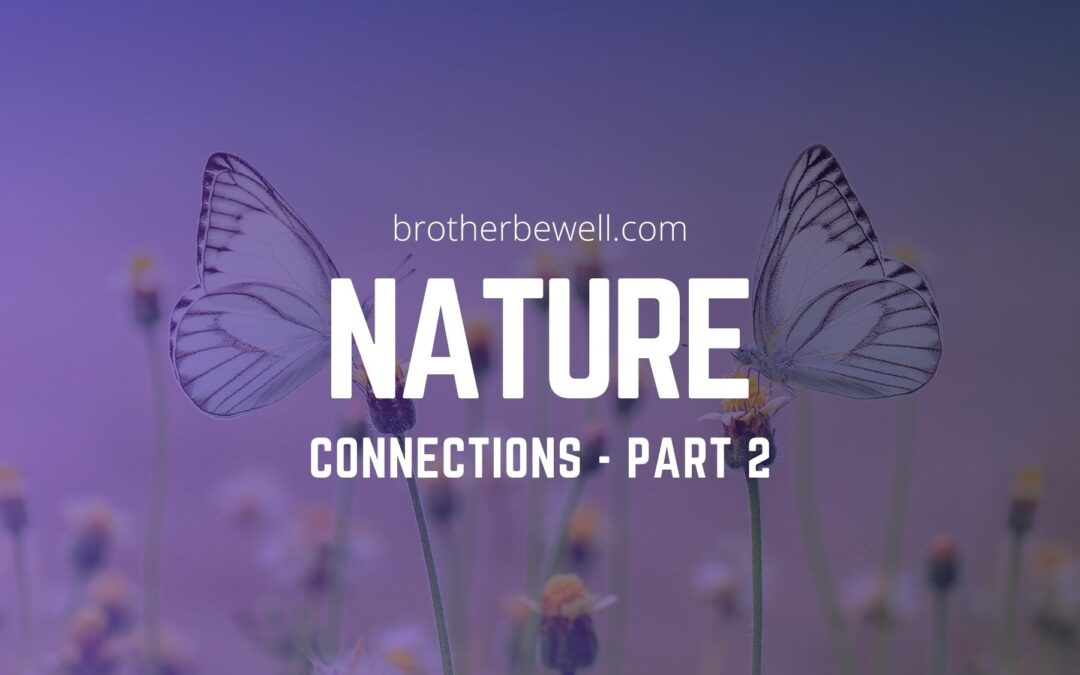 Nature Connections – Part 2