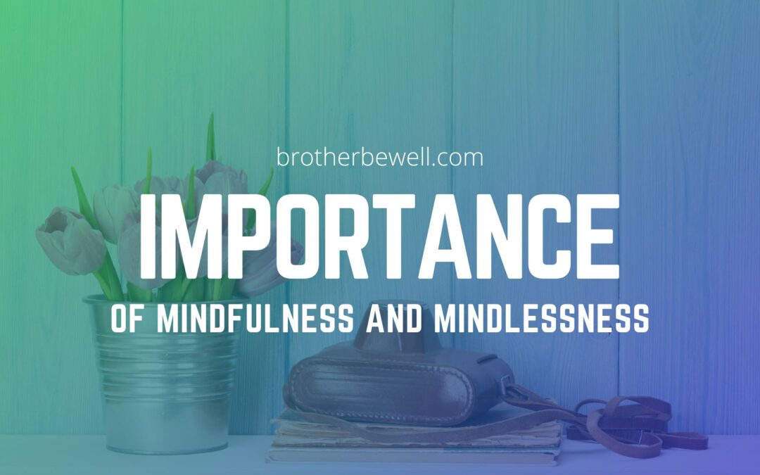 Importance of Mindfulness and Mindlessness