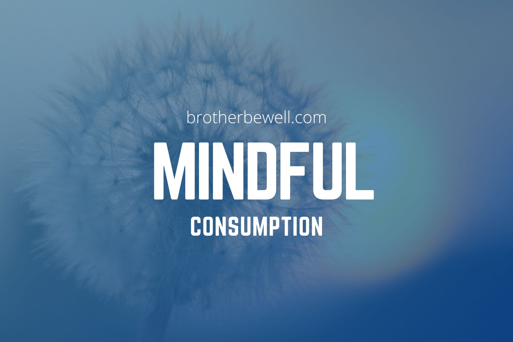 Mindful Consumption: Menuju Gaya Hidup Berkelanjutan dan Lebih Bermakna Bersama Lumenus.id Mindful Consumption: Menuju Gaya Hidup Berkelanjutan dan Lebih Bermakna Bersama Lumenus.id