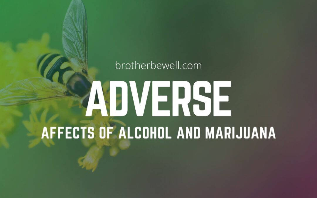 Adverse Affects Of Alcohol And Marijuana