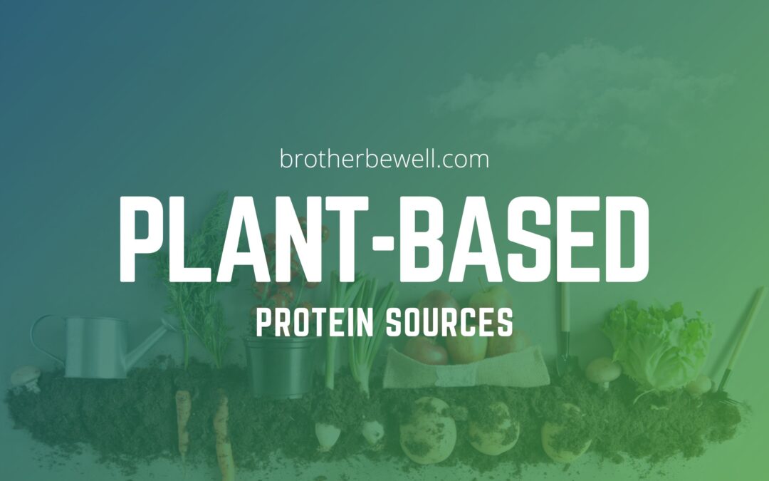 Plant-Based Protein Sources